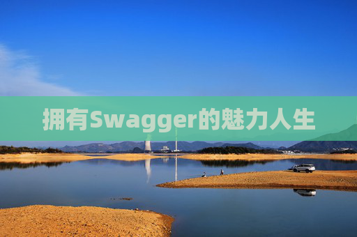 拥有Swagger的魅力人生